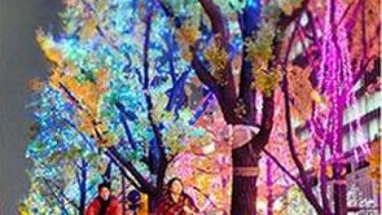 iluminasi-di-midosuji-osaka_20150110_084745 iluminasi-di-midosuji-osaka_20150110_084745