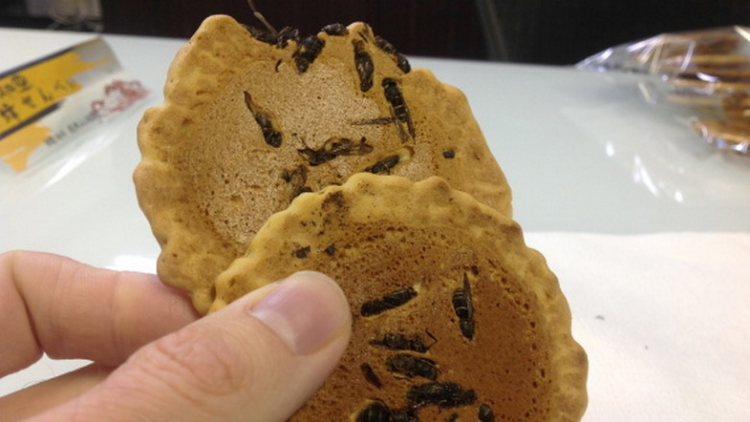 ini-varian-baru-senbei-isi-tawon-eGrlpxdzGj