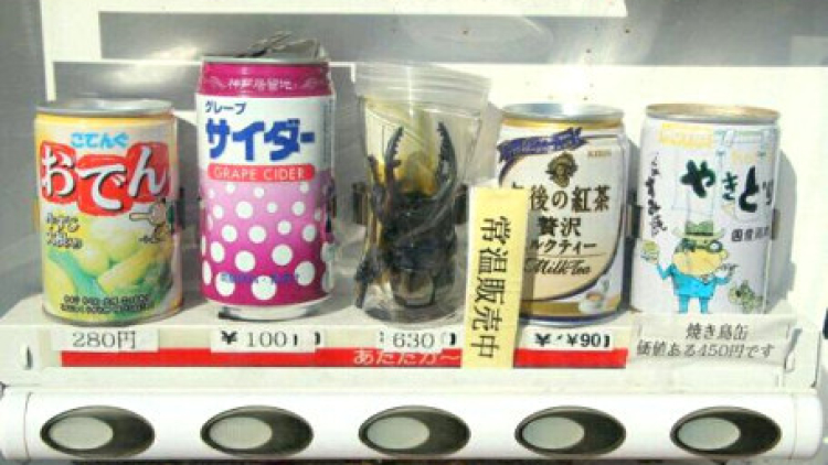 kumbangvendingmachinedalam