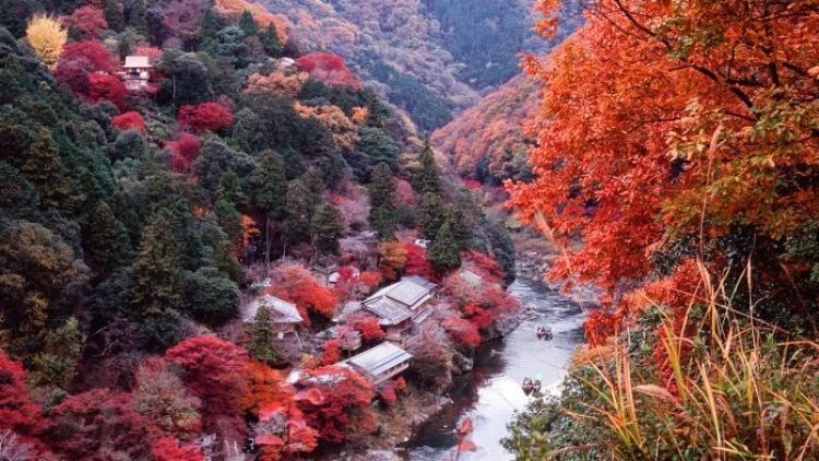 kyoto_jepang kyoto_jepang