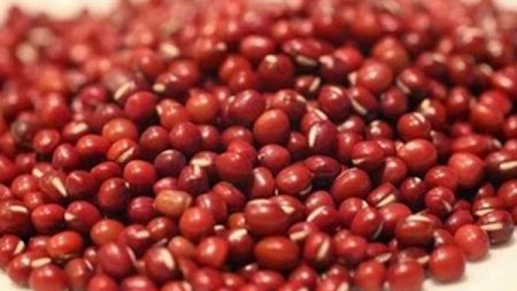 Manfaat kacang merah dalam masakan dan bagi kesehatan