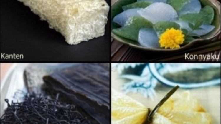 menu sehat khas jepang