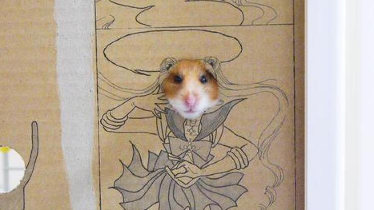 mojako hamster cosplay (1)