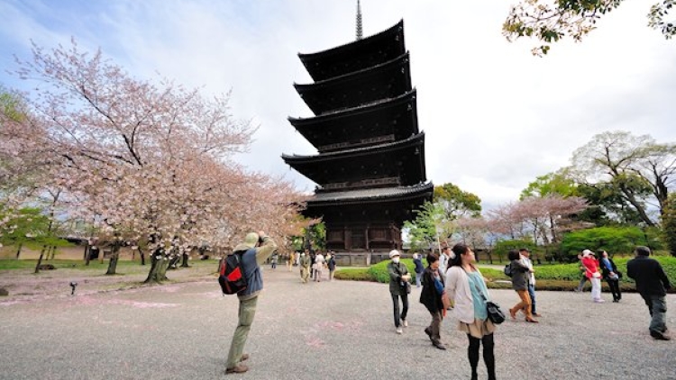 pagoda-toji-temple-kyoto pagoda-toji-temple-kyoto