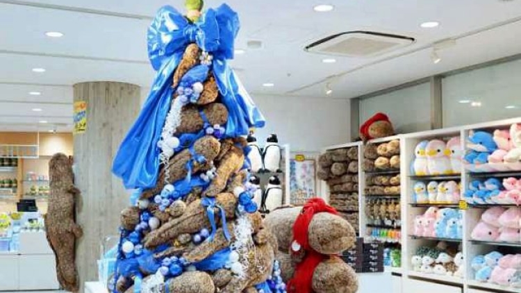 pohon natal salamander (1)