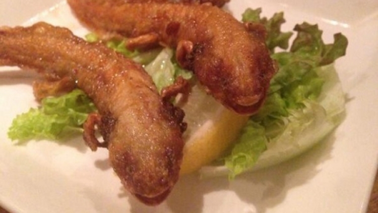 salamander goreng jepang (1)