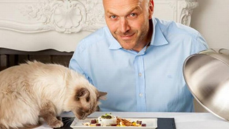 sepotong-sushi-lobster-menggoda-tapi-untuk-kucing-eWFA1QB7gB