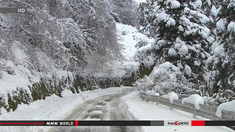 tokushimasnowdec7 tokushimasnowdec7