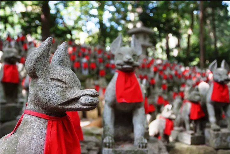Patung rubah di Kuil Toyokawa Inari (tsunagujapan.com)