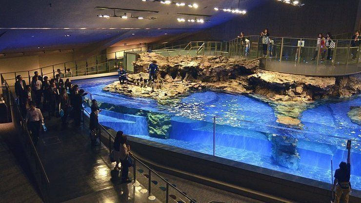 Sumida Aquarium (japan-guide.com)