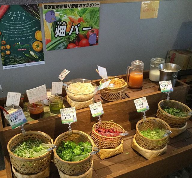 Sayuran organik hasil tanam Kyoto (tsunagujapan.com)