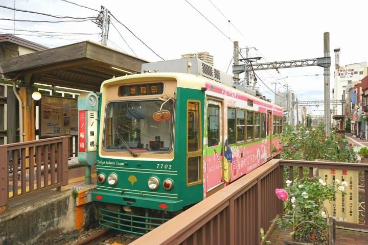 Trem Sakura