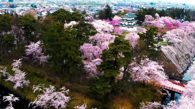 bunga sakura jepang hirosaki japanesestation.com