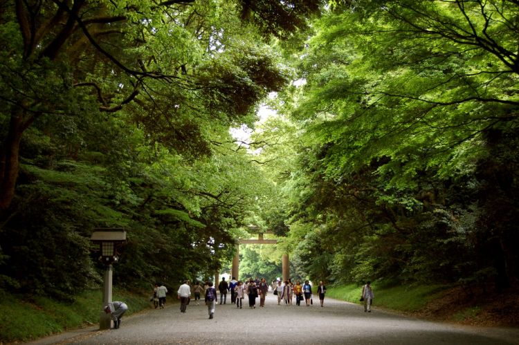 Kuil Meiji Jingu