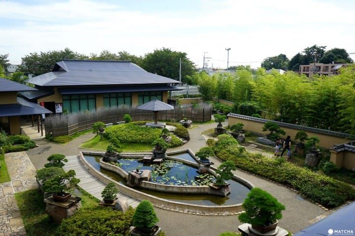 Omiya Bonsai Art Museum