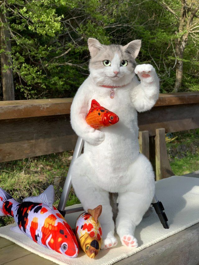 Tas kucing super realistis yang viral di Jepang