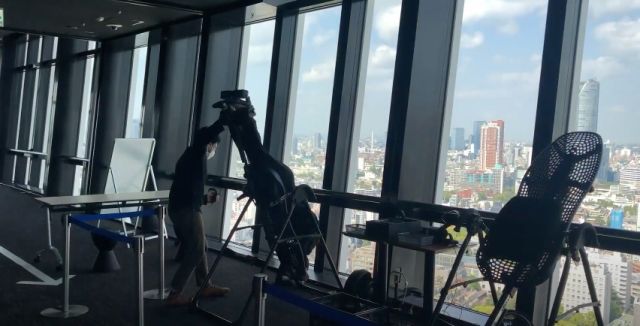 Tokyo Tower Bungee VR