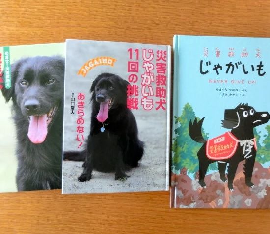 fukushima bencana nuklir anjing penyelamat japanesestation.com