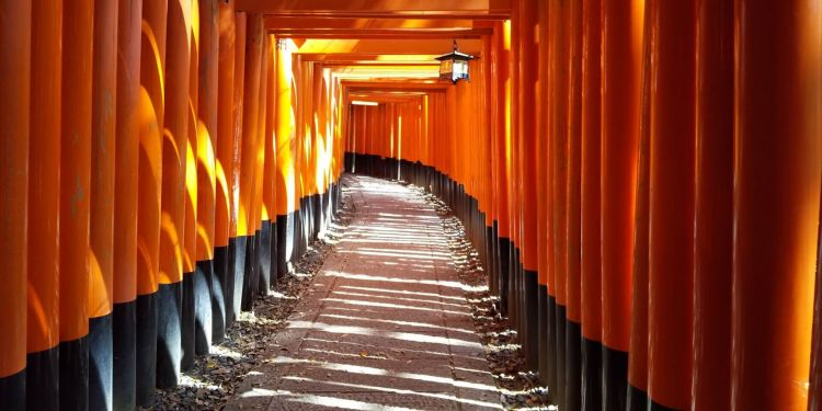 Fushimi Inari di Kyoto, Jepang (foto:snowmonkeyresorts.com)