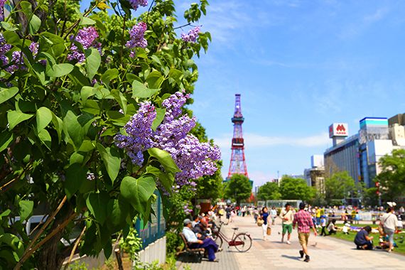 Odori Park, Sapporo Odori Park, Sapporo