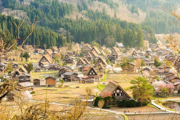 Shirakawa-go, Desa Tradisional yang Diakui oleh UNESCO
