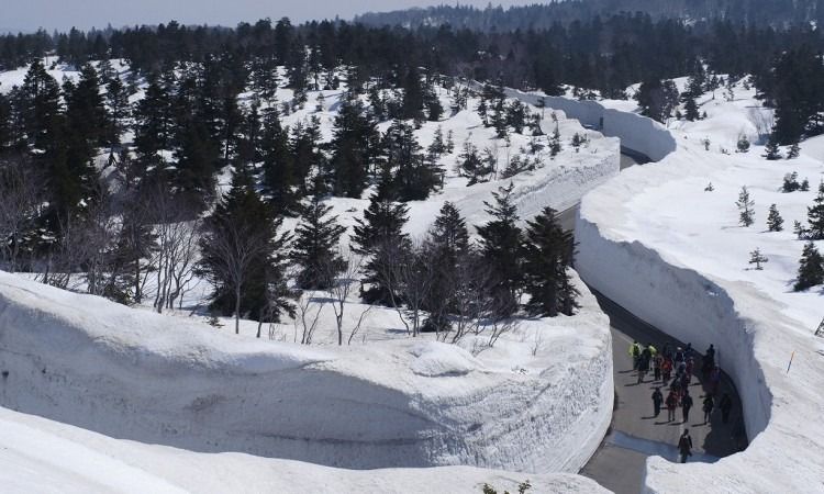  Akan Kembali Dibuka! Nikmati Pemandangan Dinding Salju Pegunungan Hakkoda di Aomori