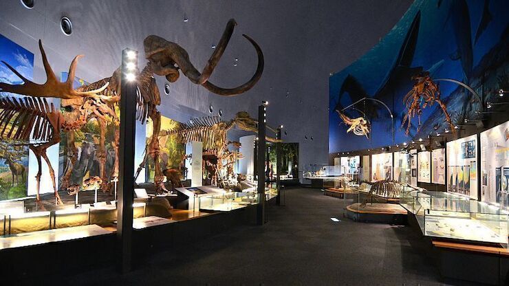 Fukui Prefectural Dinosaur Museum, Salah Satu Museum Terbaik di Dunia