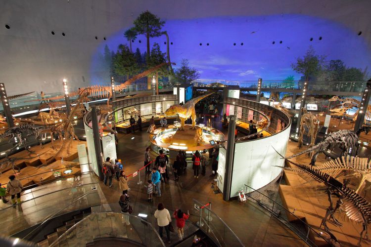Fukui Prefectural Dinosaur Museum, Salah Satu Museum Terbaik di Dunia