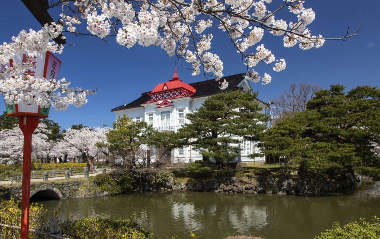 5 Festival Bunga Sakura yang Paling Ditunggu di Jepang