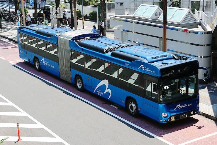 Bayside Blue Bus