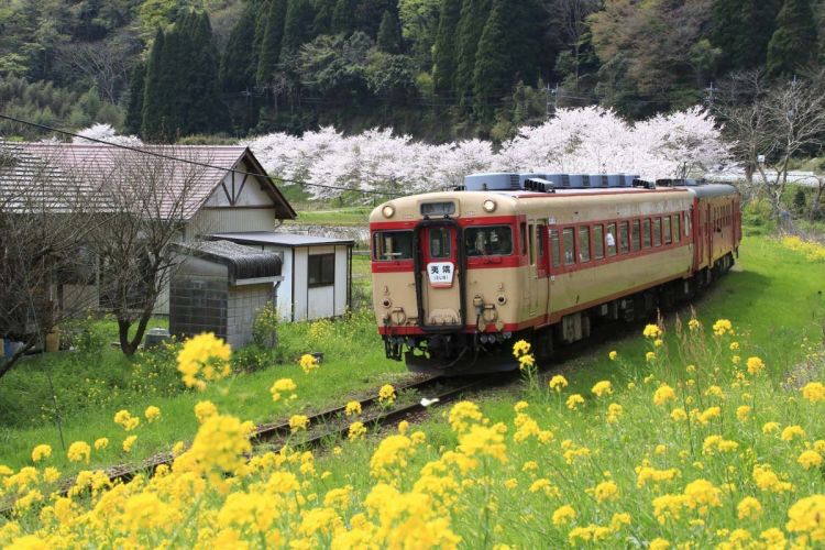 Isumi Railway (ZEKKEI Japan).