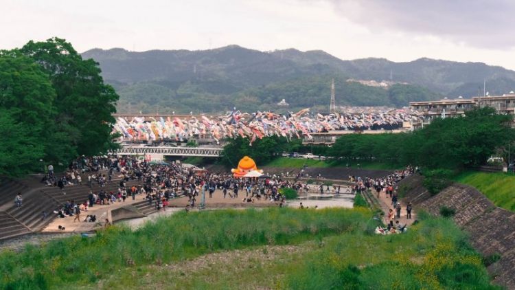 Koinobori Festa 1000 di tepi Sungai Akuta di Akutagawa Sakurazutsumi Park (Japan Travel).