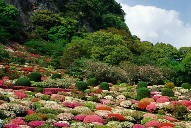 Warna-warni bunga di MIfuneyama Rakuen (JNTO).