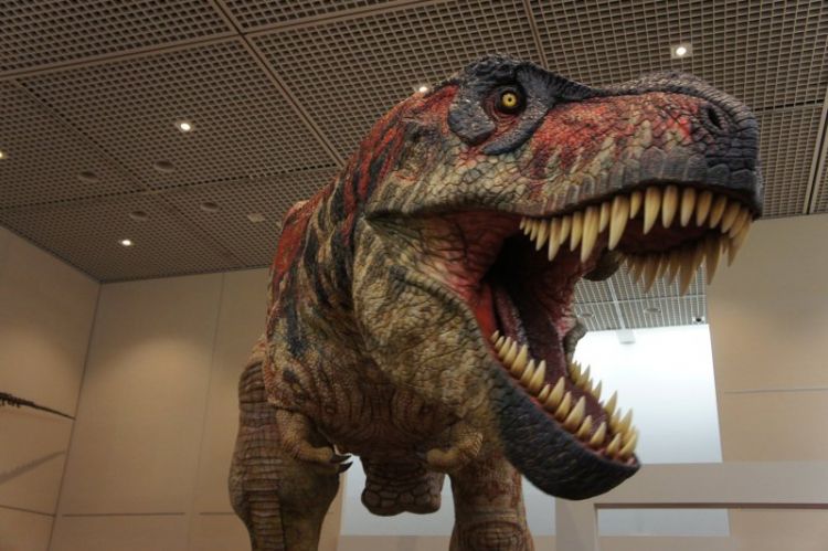 Salah satu dinosaurus yang ada di Odaiba Dinosaur Expo 2024 (Fuji Television Co., Ltd).