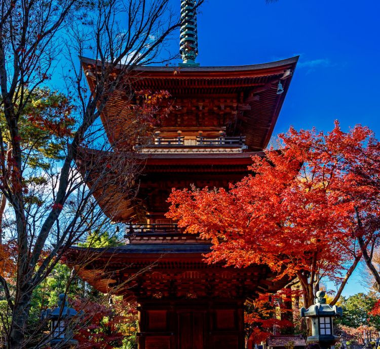 Pemandangan pagoda kayu tiga lantai di saat musim gugur (Toshihiro Gamo).