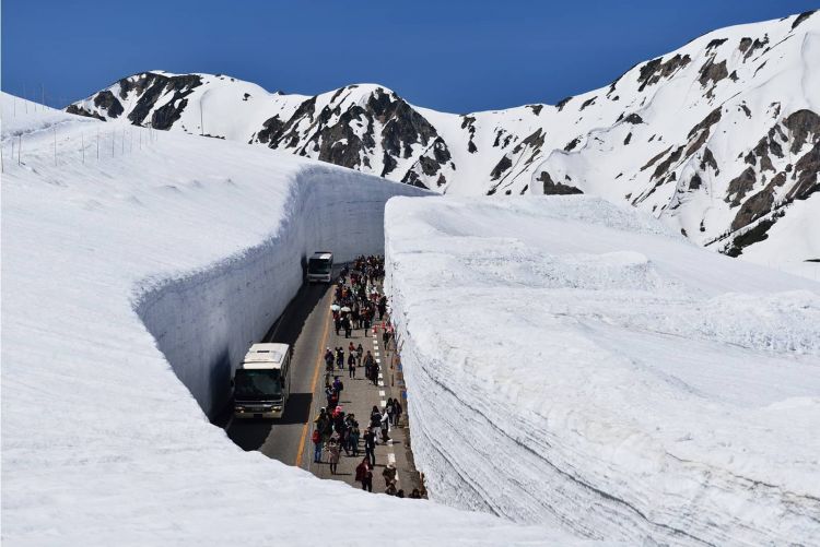 Tateyama Kurobe Alpine Route (halojapin.com).