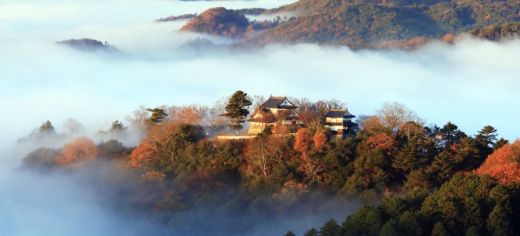 Istana Bitchu Matsuyama, Istana Tertinggi di Jepang ( PIXTA/きゅーまる)