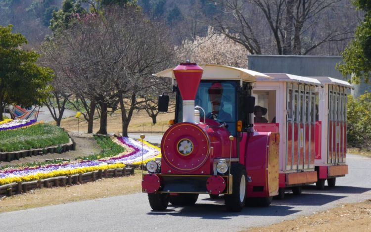 Naiklah kereta penumpang untuk mengelilingi Taman Hanakairo (Laura Payne).