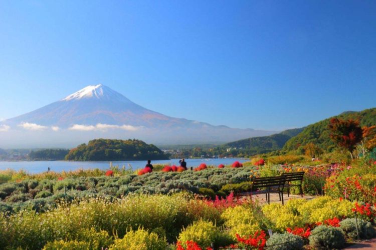 Pemandangan Gunung Fuji dari Oishi Park (ZEKKEI Japan).