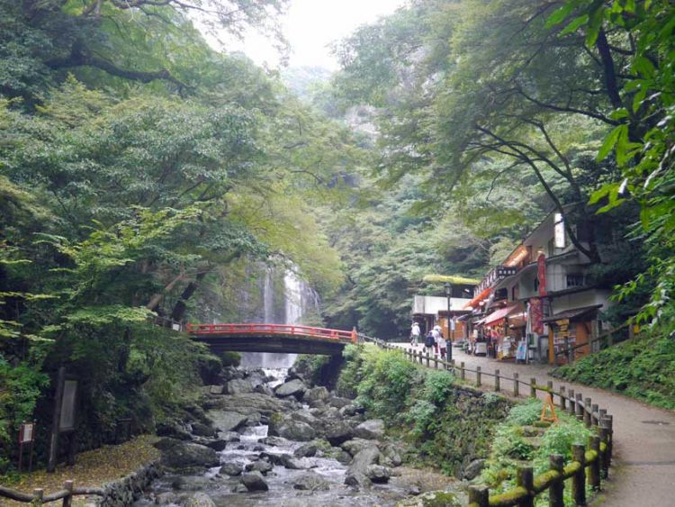 Rute Takimichi, rute jogging paling populer di Minoo Park (Japan Experience).