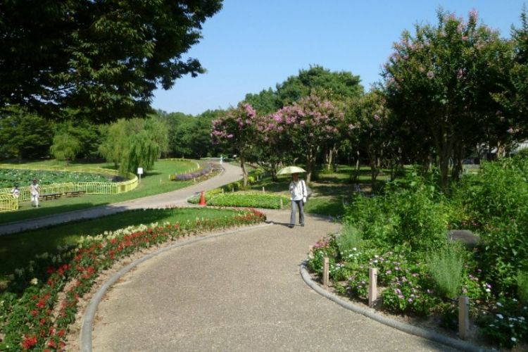Jalan setapak di Nagai Park yang bisa kamu gunakan untuk jogging (Japan Travel).
