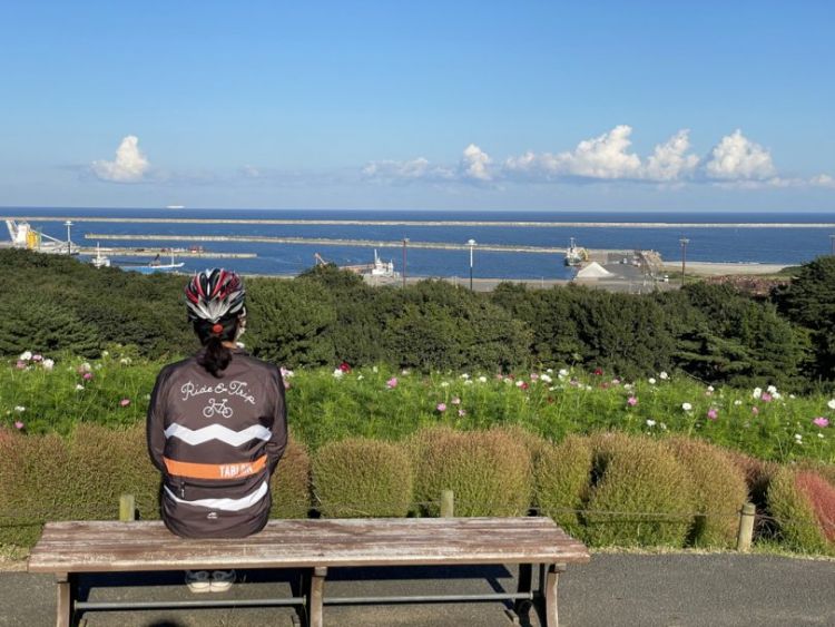 bersepeda di Hitachi Seaside Park (Tabirin International).
