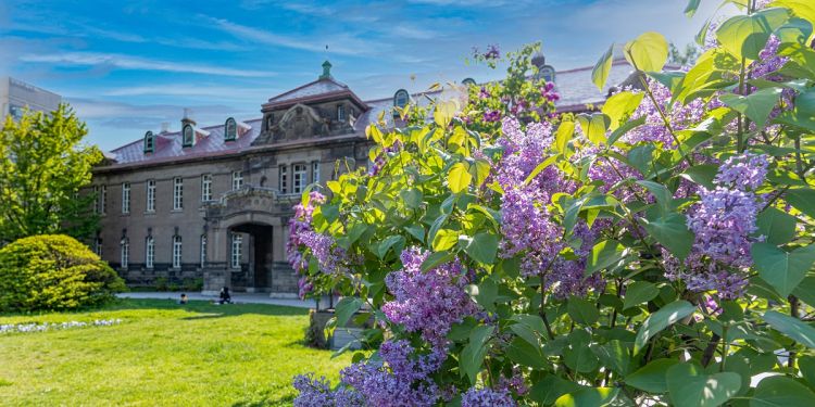 Bunga Lilac di Taman Odori (Sapporo Travel).