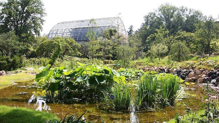 Kebun dan museum botani di area Gunung Godaisan (Japan Guide).