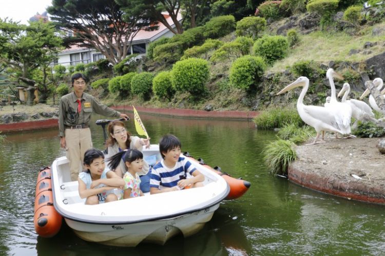 Cobalah untuk bersafari air melalui perahu (Izu Shaboten Park Offcial Website).