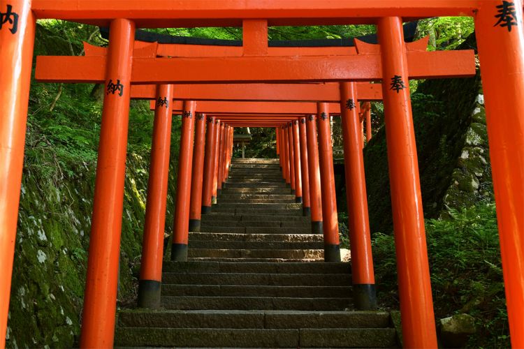 Tangga menuju Kuil Arikoyama Inari yang dipenuhi gerbang torii (Kodawari Times).