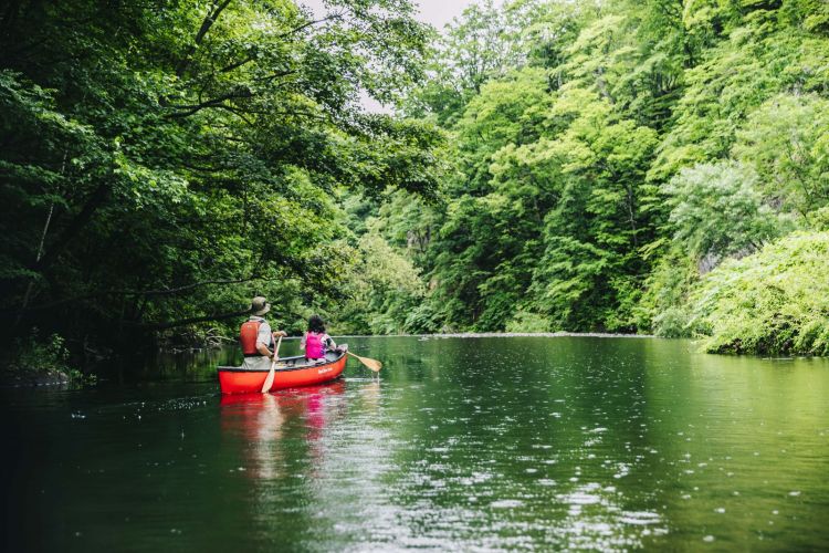 Melihat keindahan alam di sepanjang Sungai Toyohira dari atas kano