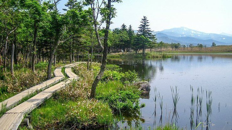 Jalur alam di Shiretoko Goko mengajakmu mengelilingi lima danau (Japan Guide)