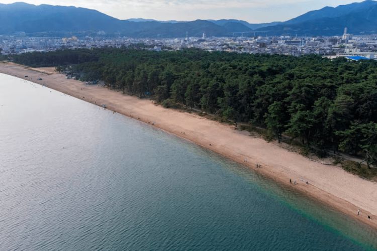 Pantai Kehi no Matsubara yang memiliki ombak tenang serta taman pinus di dekatnya (Visit Fukui).