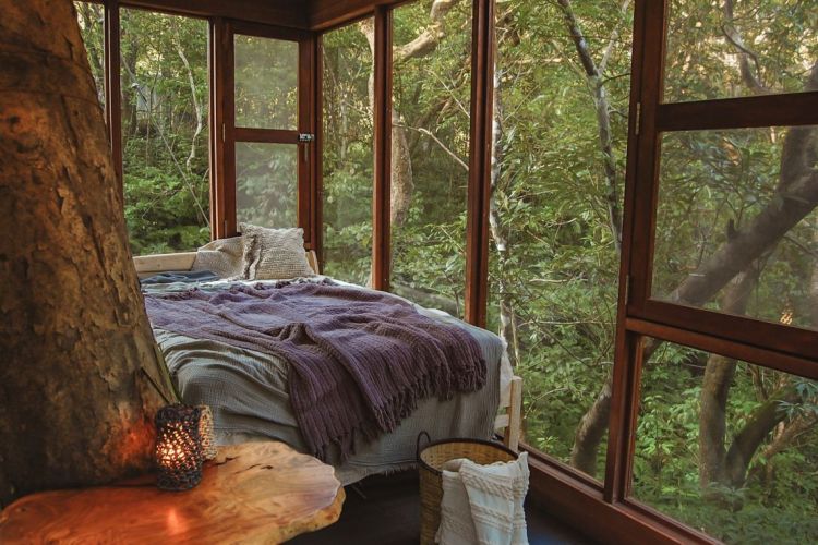 Pemandangan kamar Treeful Treehouse (Treeful via CNN).